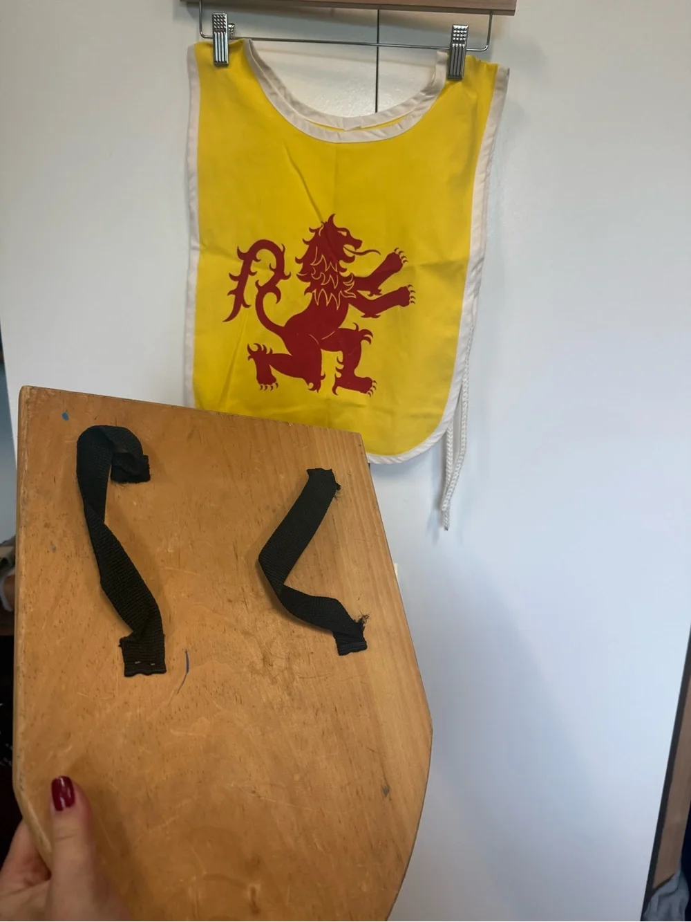 Medieval Knight Wooden Shield & costume - dress up. Halloween, renaissance fair